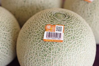 旭村クインシーメロン通販 茨城産 糖度の見えるメロンを販売 果物ギフトに 糖度14度 秀品 2玉