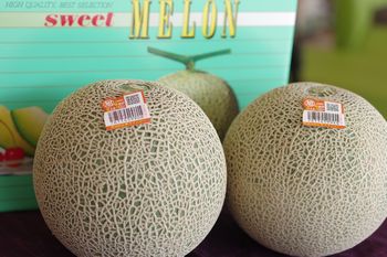 旭村クインシーメロンお取り寄せ販売 茨城産 糖度の見えるメロンを通販で。果物ギフトに 糖度16度 特秀 2玉