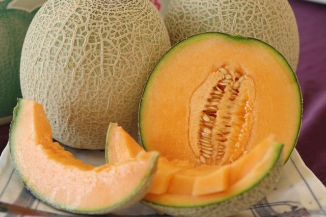 98ふぁーむのアンデスメロン 98ふぁーむのアンデスメロン 1.png