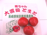 大雲仙ソプラノトマト「特ちゃん」糖度10度以上！ 約10玉〜約16玉 【長崎県産】