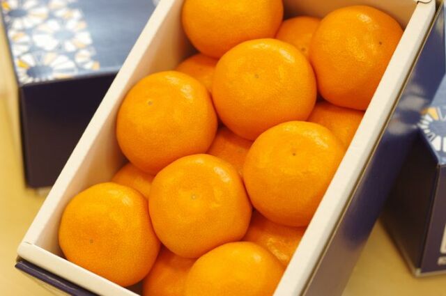 味一みかん「極み」糖度15度以上 化粧箱 約15玉 和歌山県