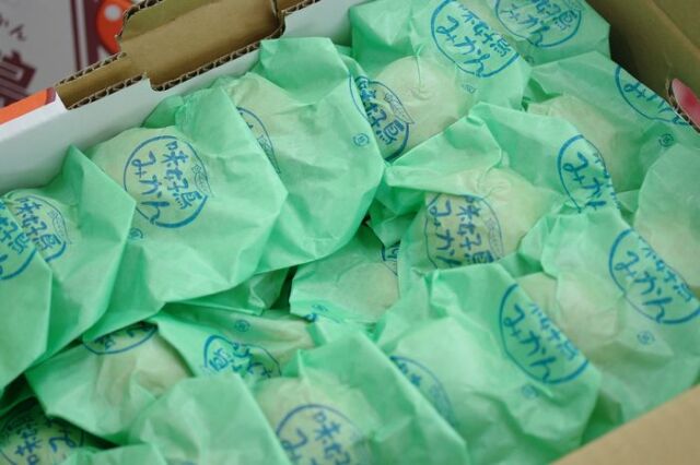 味好鳥みかん(あじこうちょう)袋入れ 2kg 3kg 4kg 長崎県