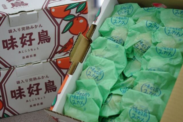 味好鳥みかん(あじこうちょう)袋入れ 2kg 3kg 4kg 長崎県