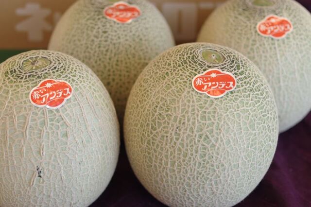 メロン 楽天市場】【送料無料】 茨城県産 クラリスメロン 秀品 3L〜4L