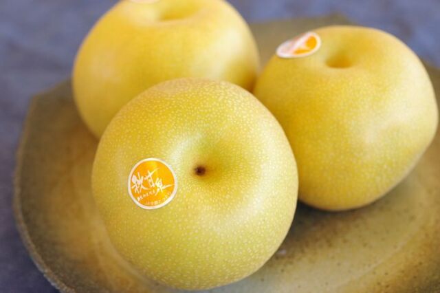秋甘泉（あきかんせん）通信販売 鳥取の糖度約13度の和梨を販売取寄。鳥取産