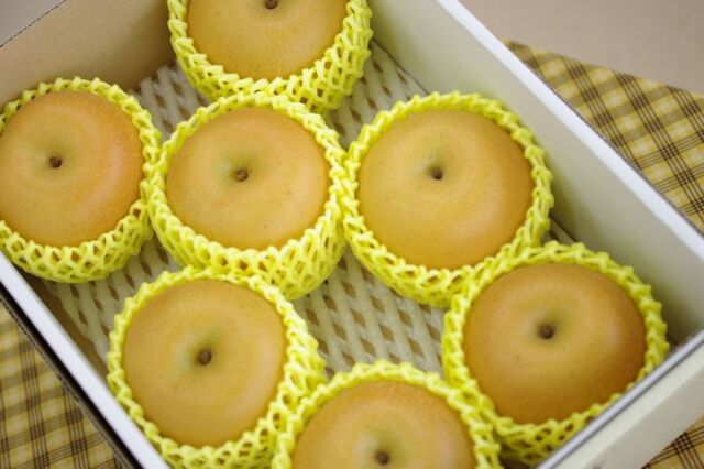 南水梨取寄販売 太鼓判・下伊那園芸・三石農園糖度約14度の和梨を通販で。長野産