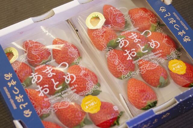 いちご♡ 新品種】三重県産いちご「うた乃」250g×2パック ※配送日指定不可: 三重