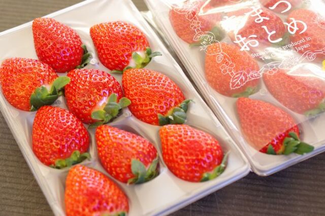 あまつおとめ いちご 三重県産 250g×2P 苺