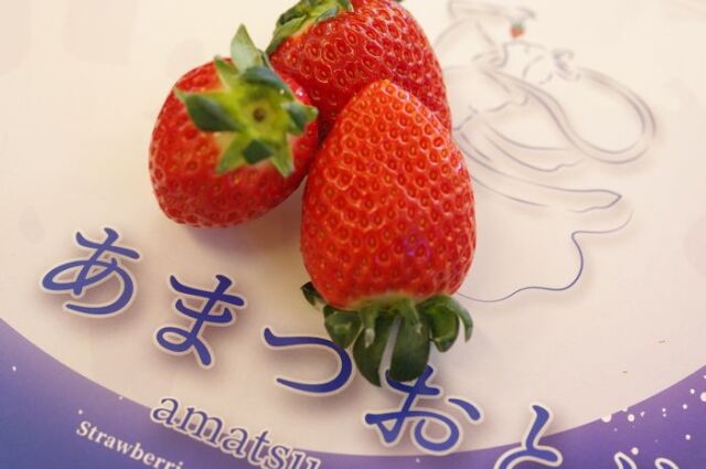 あまつおとめ いちご 三重県産 250g×2P 苺