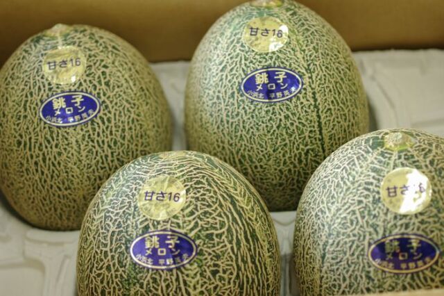 銚子アムスメロン通販 千葉産。甘さ16を販売取寄。糖度16以上！果物ギフト