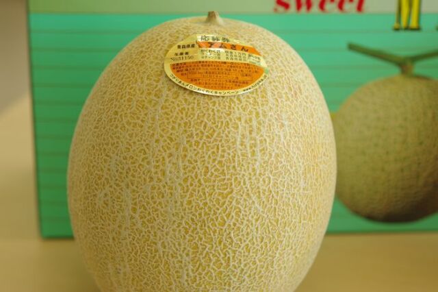 完熟アムさんメロン通販 青森産。つがりあんブランドを販売。お中元果物に