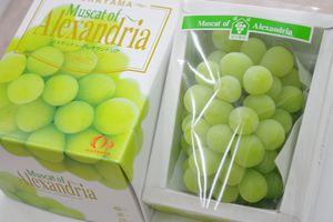 マスカットオブアレキサンドリア葡萄通販 岡山の高級ぶどうを販売。お中元や果物ギフトに。化粧箱 約600ｇ 岡山産