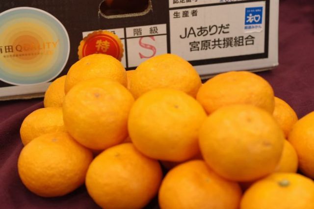 有田市認定みかん宮原共撰(樹別採果) 通販 有田みかんお歳暮ギフトに 有田クオリティーの基準値は糖度12度以上で酸度1％以下 5kg Ｓ〜Ｌ