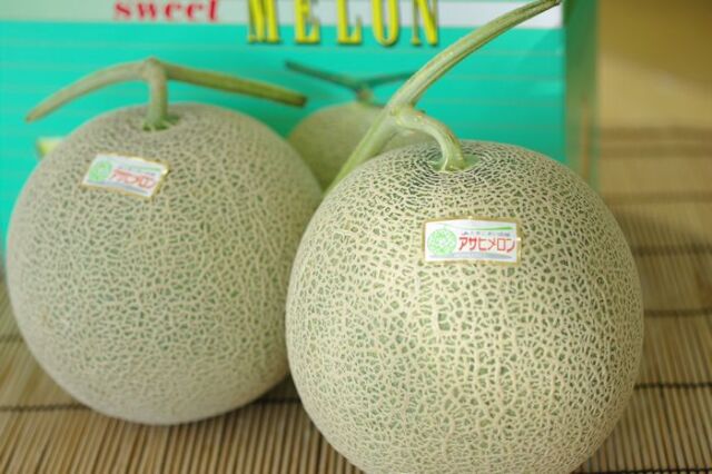 北海道アサヒメロン通販 安平町追分の糖度14度以上赤肉メロンを取寄