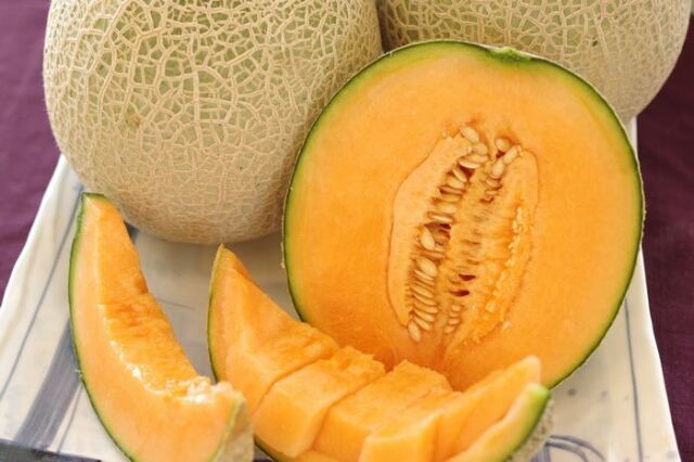 旭村クインシーメロン通信販売 茨城産 糖度の見えるメロンを販売。果物