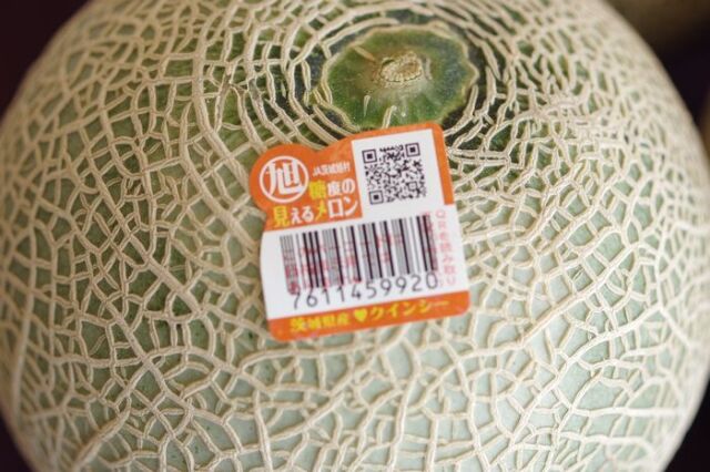 旭村クインシーメロン通信販売 茨城産 糖度の見えるメロンを販売。果物