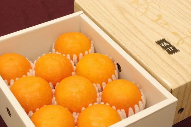 柑橘あすみ販売 高糖度系の新柑橘を通販で取り寄せ。約1.5ｋｇ 約5玉〜約8玉