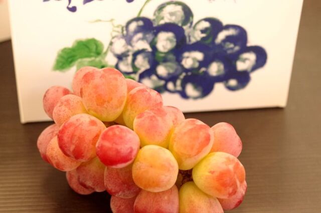 バイオレットキングぶどう　2房 約1100g　山梨・他産地