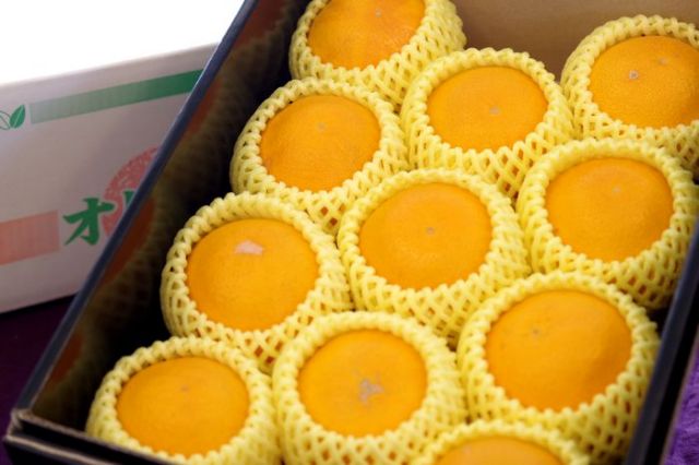 春峰しゅんぽう販売 和歌山育成品種の春みかん。和歌山県・他産地 約3kg