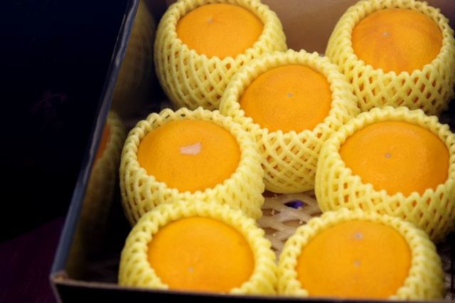 春峰しゅんぽう通販 和歌山育成品種の春みかん。和歌山県・他産地 約2kg
