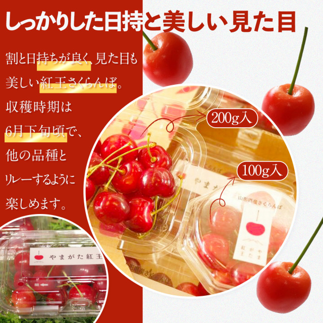 やまがた紅王 さくらんぼ通販 2L フードパック入れ 約25粒 実横