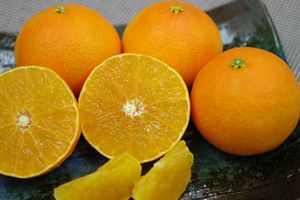 M~L小さめサイズ 紅まどんな お歳暮に愛媛県ゼリーの様な食感が特徴の柑橘 約9玉前後