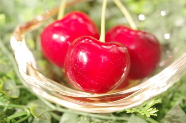 やまがた紅王 プレミアムさくらんぼ 4Ｌ以上で特秀品 約15粒