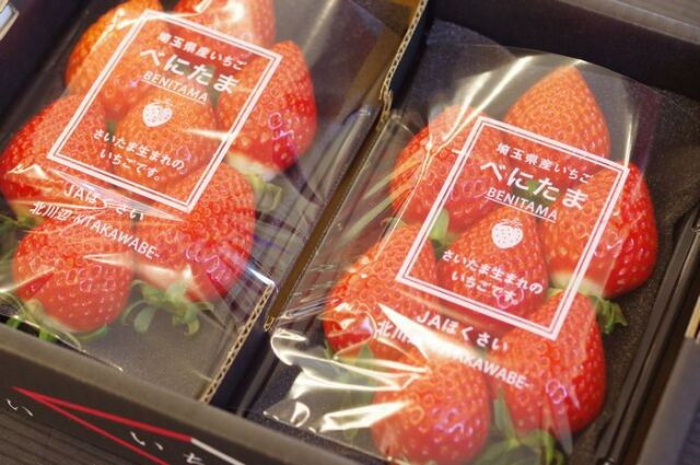 べにたま いちご 埼玉県の苺 約250ｇ×2P