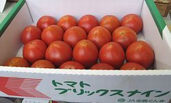 ブリックスナイントマト販売 フルーツとまと通販 糖度9度以上！約15個〜約20個 群馬県産