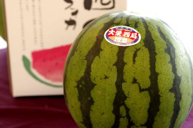 大栄西瓜通販。鳥取県大栄西瓜組合協議会 Ｌ〜4Ｌ 1玉