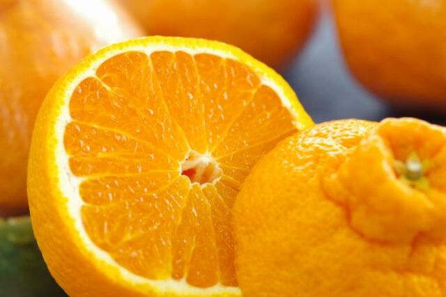 熊本デコポン通販 糖度約13度の不知火（しらぬい）を販売取寄。熊本産