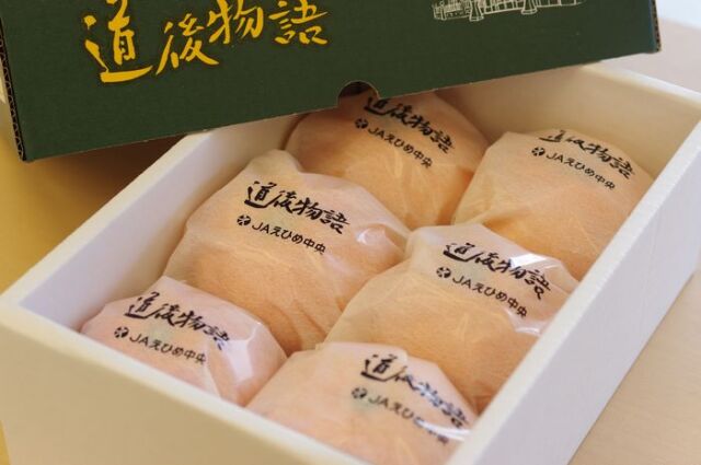 道後物語 いよかん 約1.5ｋｇ  約5〜6玉 愛媛県産