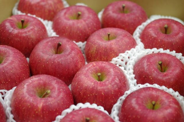飯綱ふじりんごグルメ16通信販売 長野県糖度17度お歳暮サンふじりんごを販売取寄。