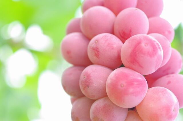 シャイン2kg、悟紅玉&黄玉500gずつ 013000000001_w0DbMvu.jpg