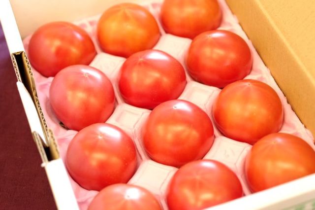 トマト♪( ´θ｀) マンハッタン トマト エンブロイダード キャンバス スモール