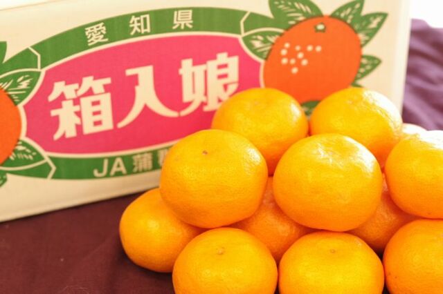 箱入娘みかん販売 愛知県蒲郡産 お歳暮みかん通販でお取り寄せ 糖度12
