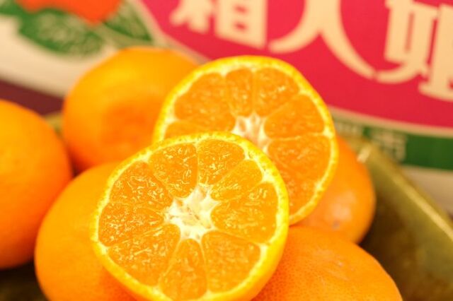 箱入娘みかん販売 愛知県蒲郡産 お歳暮みかん通販でお取り寄せ 糖度12