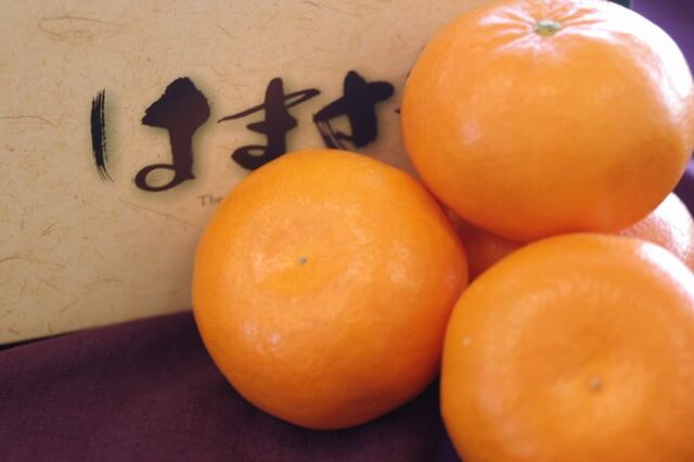 はまさき　通販 佐賀オリジナルの麗紅柑を販売取寄。佐賀県産