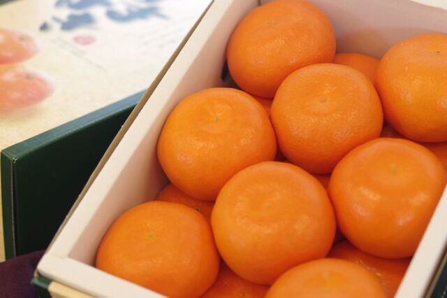 はまさき　通販 佐賀オリジナルの麗紅柑を販売取寄。佐賀県産