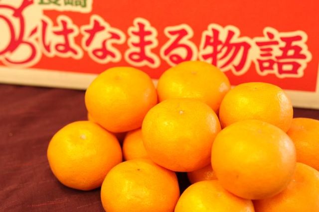 はなまる物語みかん販売 お歳暮通販に長崎みかん。糖度12以上 5kg Ｓ〜Ｌ