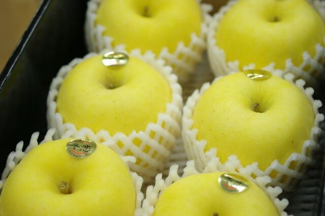 お歳暮はるかりんご販売 岩手県産 はるか糖度14度以上通販