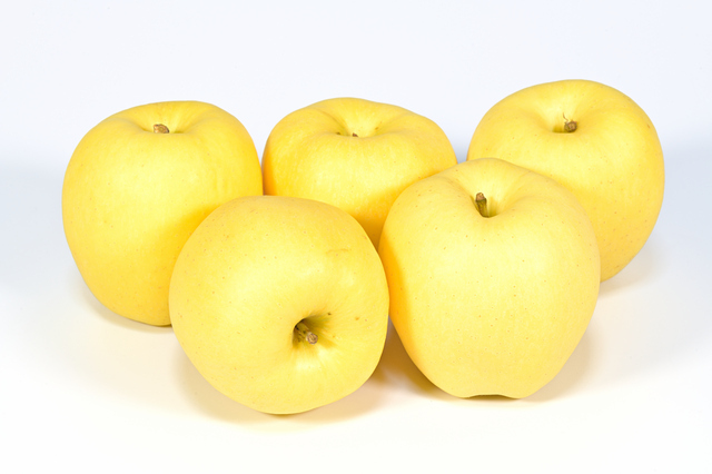 糖度15度前後　はるかりんご 山形県産 篤農家さん限定品　約5玉〜約8玉