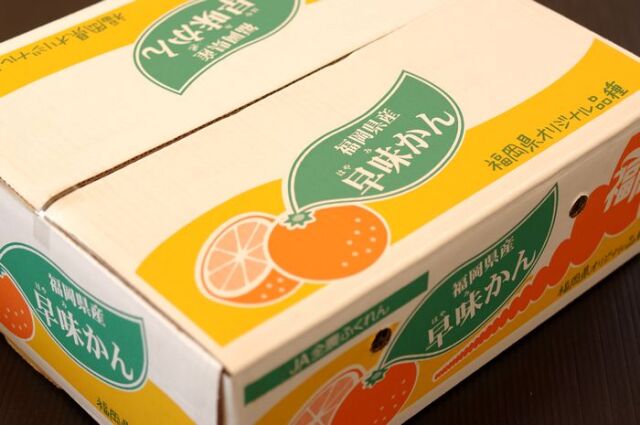 早味みかん(はやミカン) 福岡県オリジナル極早生蜜柑 糖度11度5kg S〜L