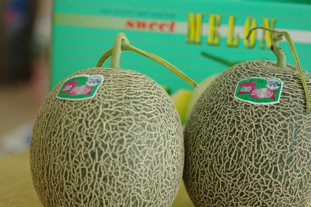 上ファームの肥後グリーンメロン販売 熊本産。通販で取寄！果肉は緑色