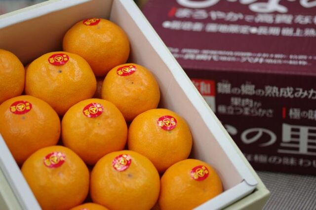 ひなの里みかん 真穴共選 糖度13度 2.5kg 5kg S~Lサイズ 愛媛県