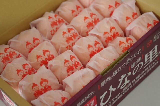 越冬ひなの里みかん通販 愛媛県真穴共選の越冬みかん販売 糖度約13度