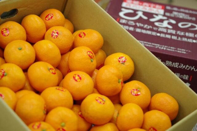 ひなの里みかん 真穴共選 糖度13度 2.5kg 5kg S~Lサイズ 愛媛県