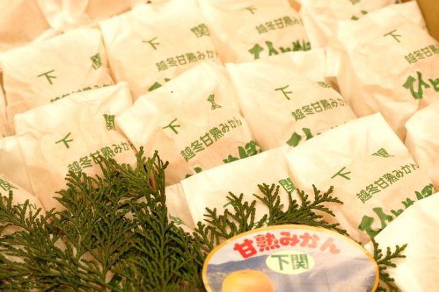 ひとめぼれみかん販売 山口県下関越冬甘熟みかんを通販で取り寄せ 約4ｋｇ 2S〜M 約45玉〜約60玉