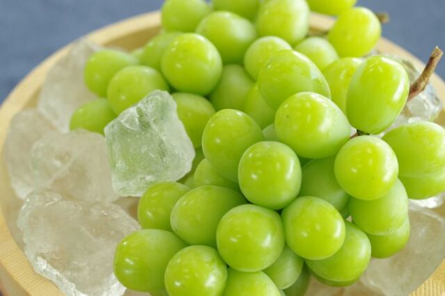 岡山県 晴王シャインマスカットぶどう 8/下旬頃から配送 残暑お見舞い