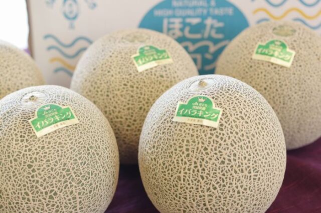 イバラキングメロン販売 茨城県新ブランドメロンを取寄せ。
